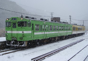 Ln47 mRF